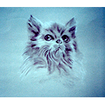 Cat Portrait
